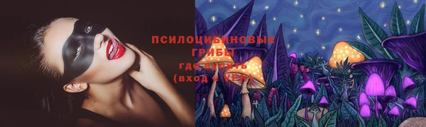 твердый Волоколамск