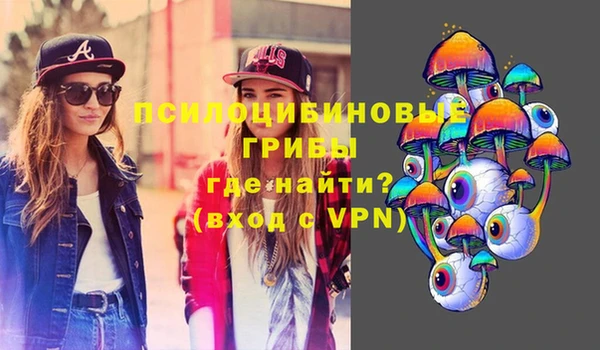 дживик Волосово