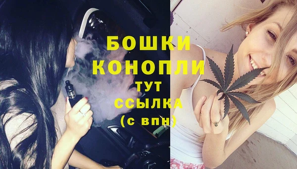 дживик Волосово