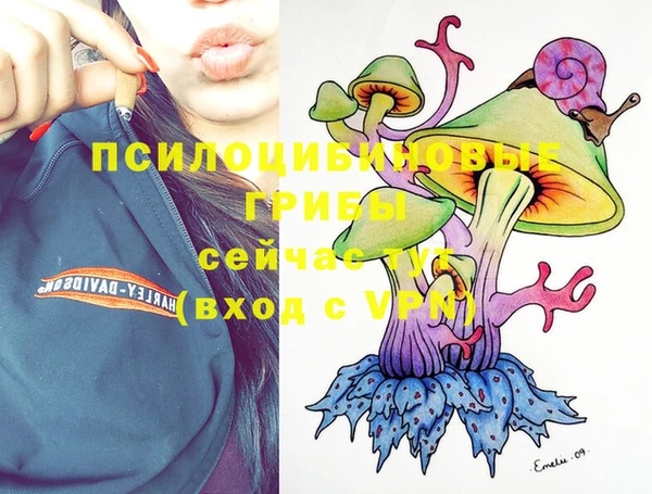 твердый Волоколамск